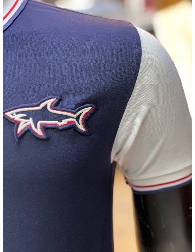 Pull Paul & Shark Bleu Marine Col Polo Demi-manches : Élégance et Décontraction