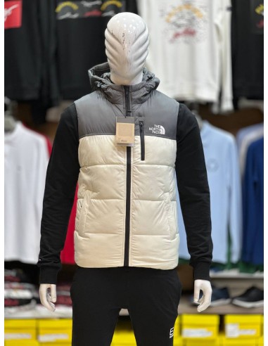 Doudoune, gilet 100 g N face